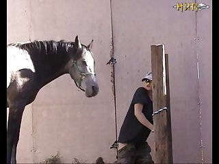 Videosporno De Zoofilia