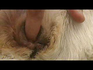 Xxx Casero Zoofilia