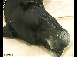 Por El Culo Zoofilia