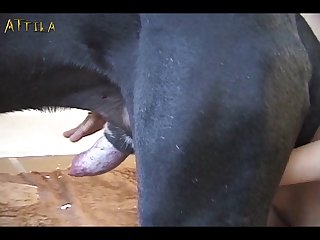 Videos De Zoofilia Xxx