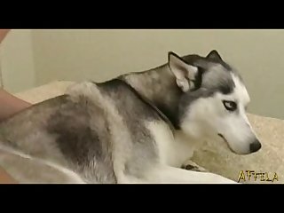 Extreme Chastity Porn