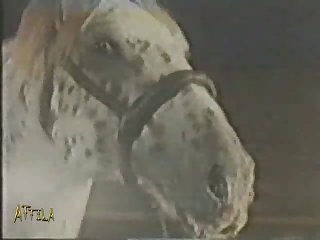 Extreme Foot Fetish Porn
