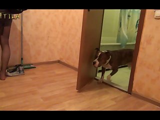 Extreme Motherly Involvement Porn