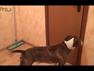 Extreme Motherly Involvement Porn