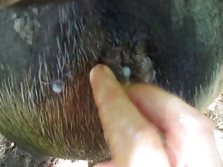 Extreme Kinky Sex Porn