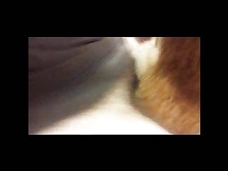 Animal Extreme Abuse Porn