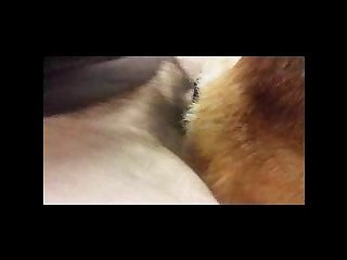 Animal Extreme Abuse Porn