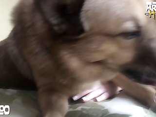 Man Fuck Dog Anal