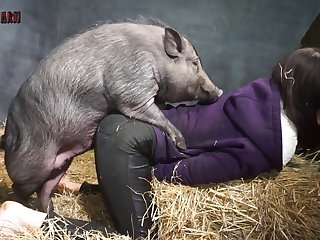 Canine Cock