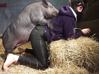 Canine Cock