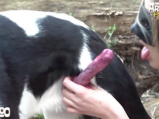 Riding Dog Porn