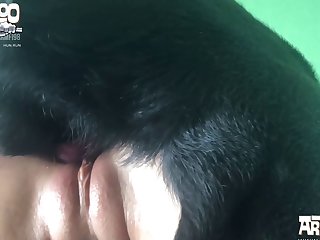 Zoophilia Telegram