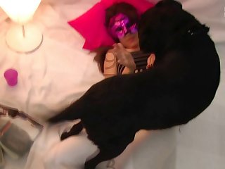 Girl Anal Dog Fuck