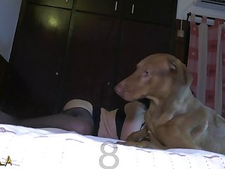 Man Fuck Screaming Dog