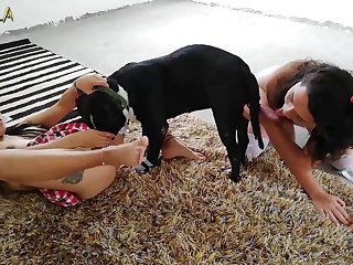 Jav Fuck Dog