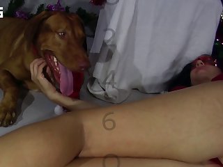 Dog Fuck Milf Hard