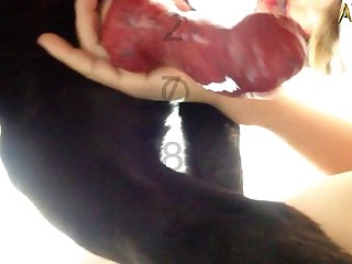 Dog Skull Fuck