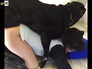 Dog Fuck Girl Harder