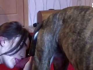 Asian Forced To Fuck Dog Porn