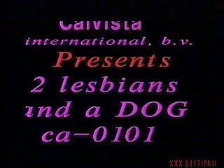 Dog Lick And Fuck Pussy