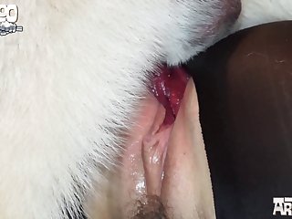 Mom Fuck My Dog