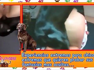 Boxer Dog Fuck