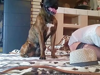 Lady Fuck By Dog
