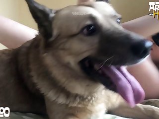Multiple Guys Fuck A Dog