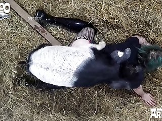 Dog Fuck Bdsm