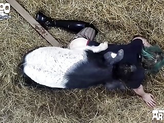 Dog Fuck Bdsm