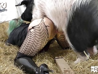 Dog Fuck Bdsm