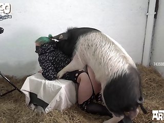 Dog Fuck Bdsm