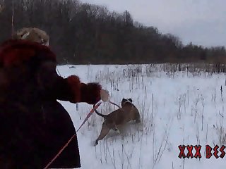 Video Sex Animal