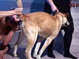 Animal Sex Vids