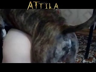 Weird Animal Sex