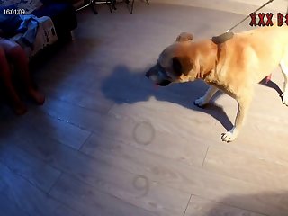 Girl Have Sex With Animal