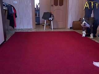 Sex Woman And Animal