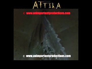 Animal Sex Positions