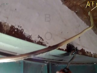 Animal Sex With Human