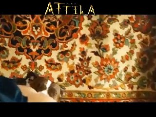 Guy Has Sex With Animal