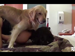 Animal Rape Sex Stories