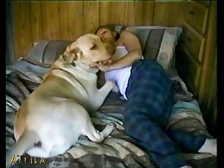 American Animal Sex Videos
