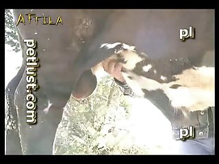Animal Cum Sex Videos