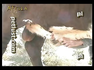 Animal Cum Sex Videos