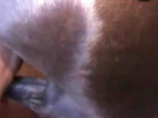 Sex Animal With Person