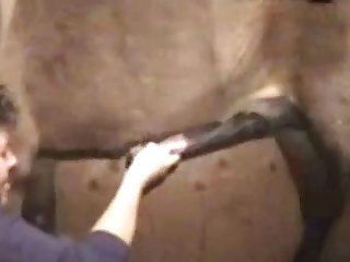 Sex Animal With Person