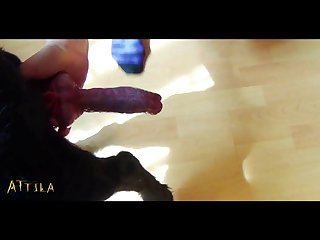 Zoofilia Chicas Perros