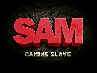 Pornos Gratis De Zoofilia