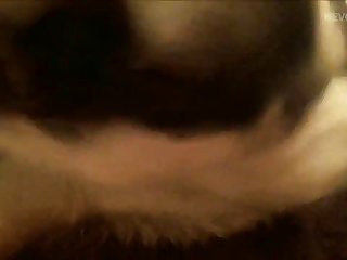 O Melhor Porno Animal