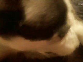 O Melhor Porno Animal